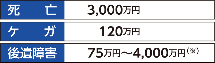 自賠責保険の保険金限度額