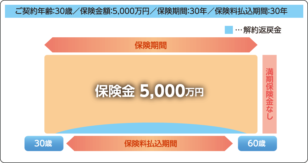 法人向け保険　定期保険のご契約例