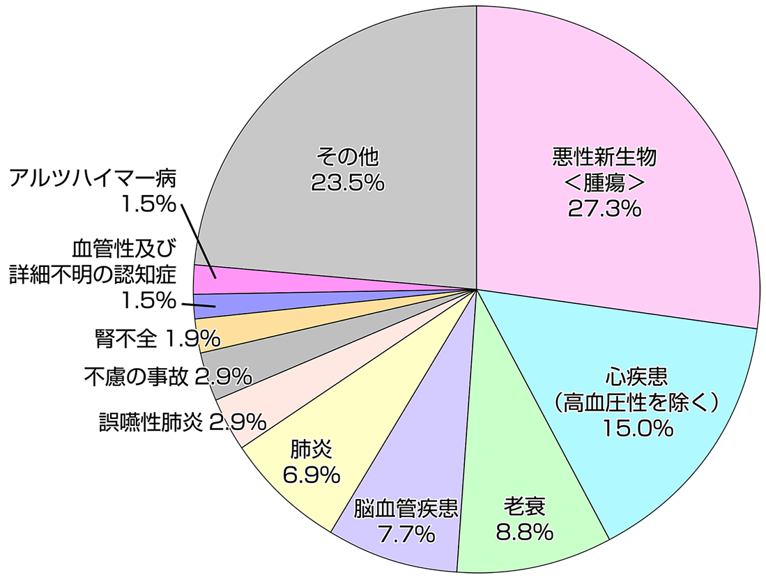 がん保険は医療保険の一種