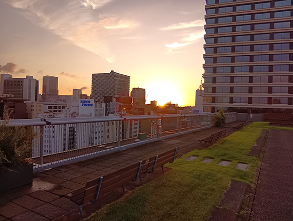 ロケーション事業 屋上(朝景1)